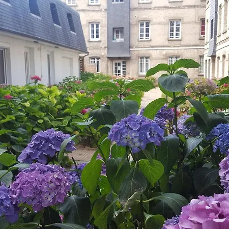 Apartment Welk'home Loft Chu - Coeur Historique *